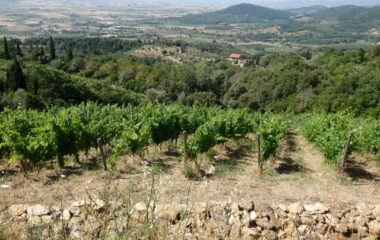 I Mandorli I Mandorli