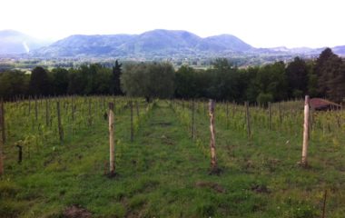 fabbrica-san-martino-380x240 fabbrica-san-martino-380x240