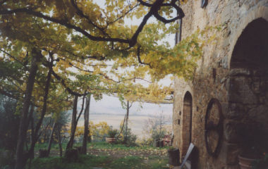 il-paradiso il-paradiso
