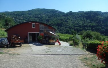 Podere Concori Podere Concori