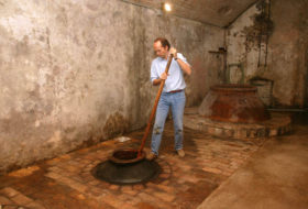 lispida-amphora-4 (c) Mark Edward Smith
Stato: Italia
Regione: Veneto
Provincia: Pd
Città: Montegrotto
Soggetto: Azienda Agricola Castello di Lispida
Parola chiave: vendemmia vino uva enologia