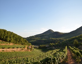 vignale-di-cecilia-vulkan-klein